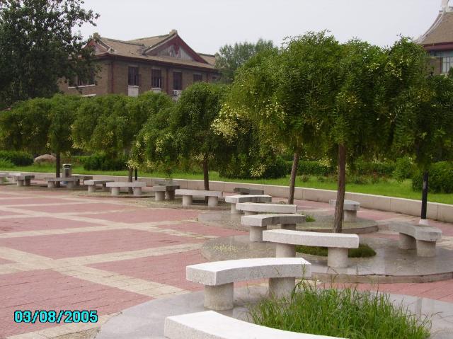 天津大学－北洋广场一角