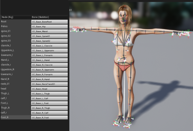 iclone_ue4_skeleton_map_base