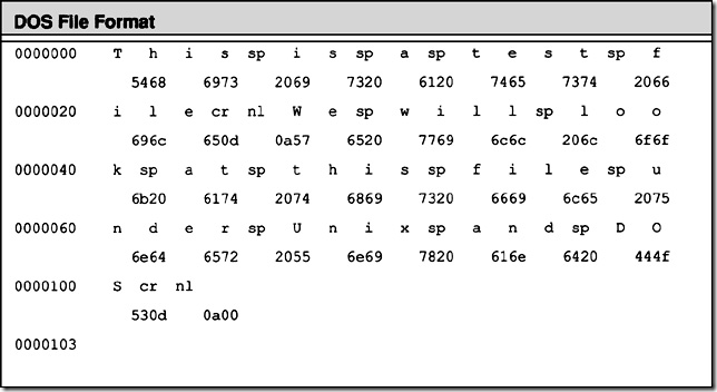 DOS File Format