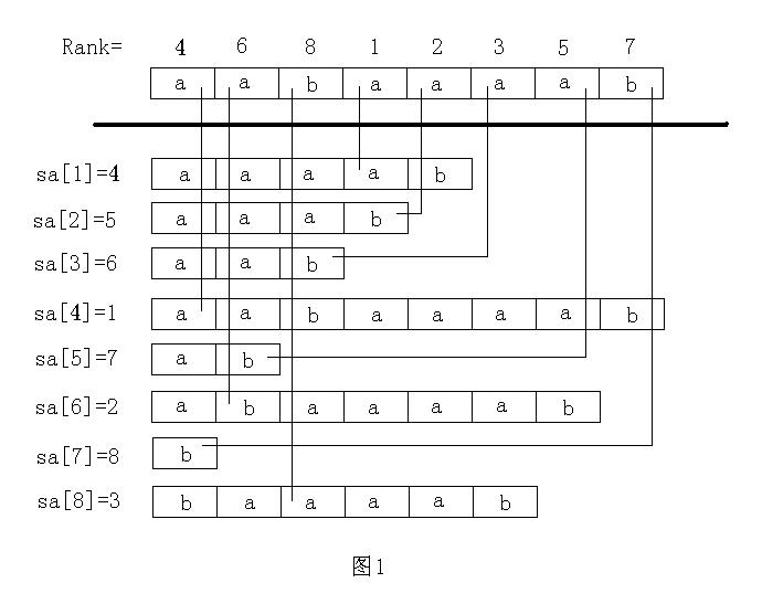 后缀数组详解