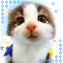 clip_image001