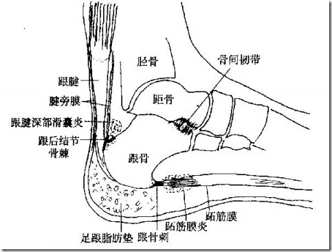 clip_image001